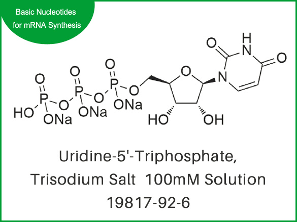 Uridine-5'-Triphosphate