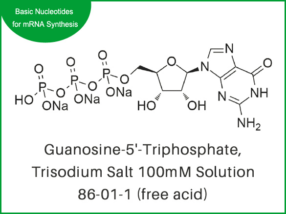 Guanosine-5'-Triphosphate