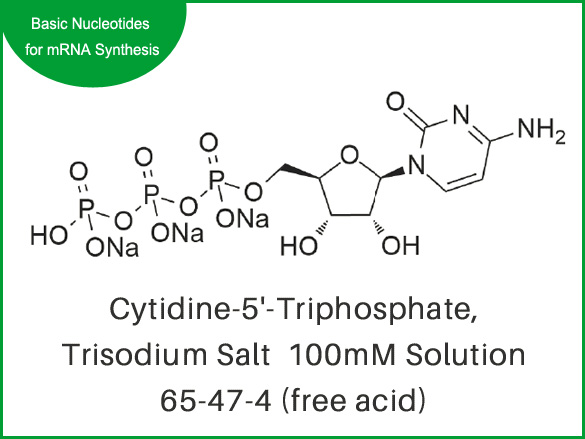 Cytidine-5'-Triphosphate